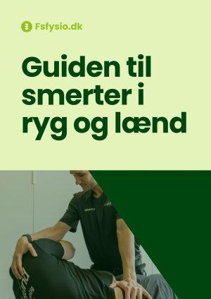 guide til smerter i ryg og lænd